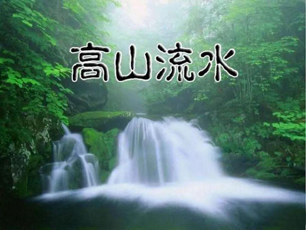 拯救受伤的猫
