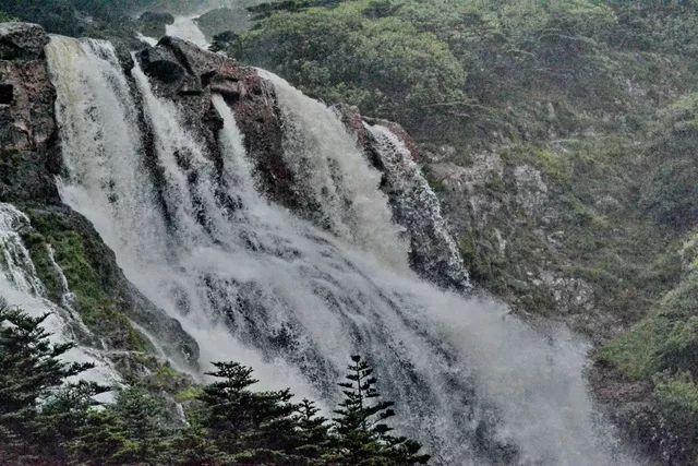 在喜马拉雅山的岩壁上，雪蜜是如何被采下来的？游戏画面