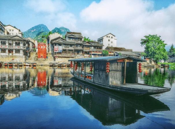 寻找萌宠松鼠